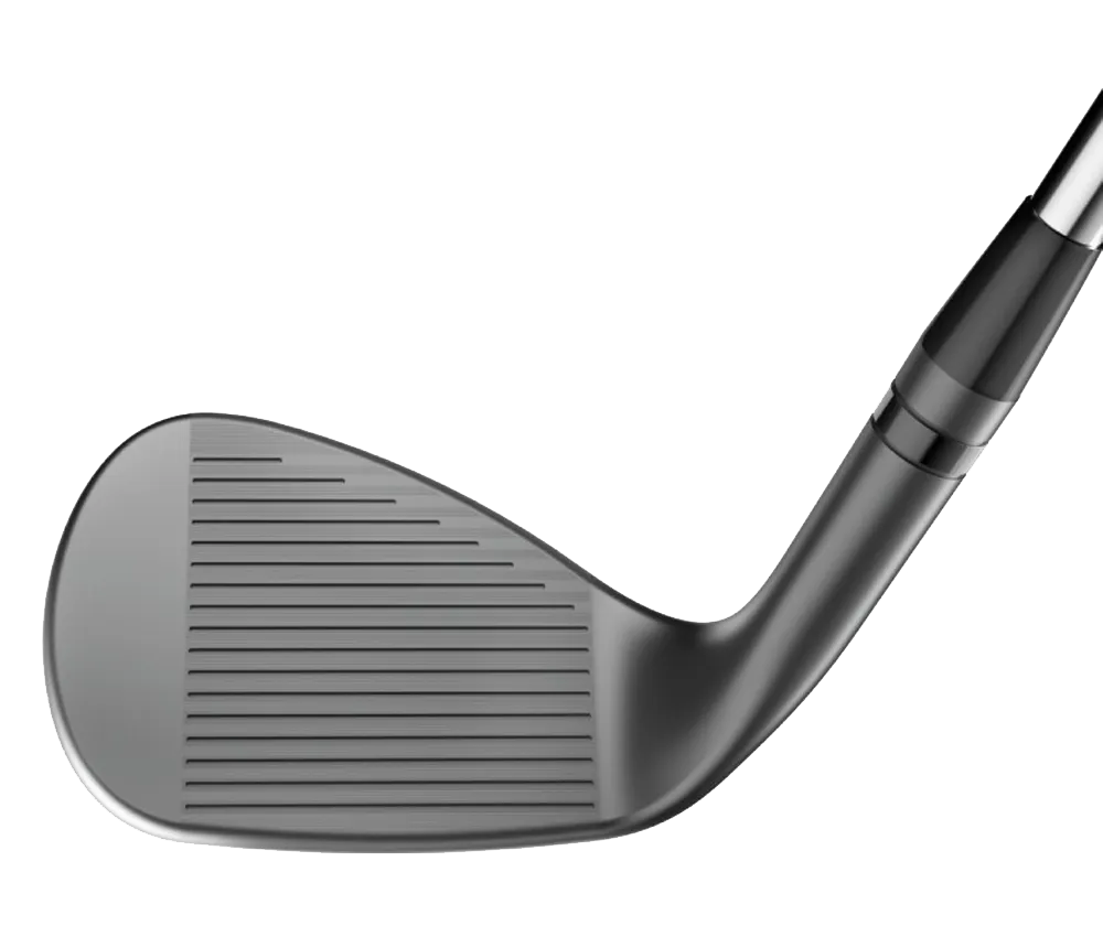 SM11 Nickel