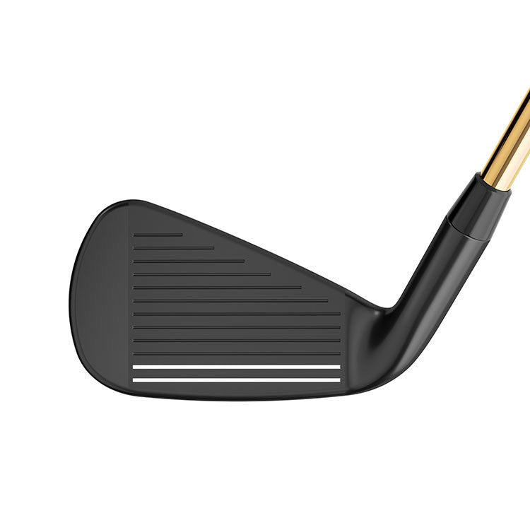 Série EPIC STAR MAX 5-PW+AW Graphite