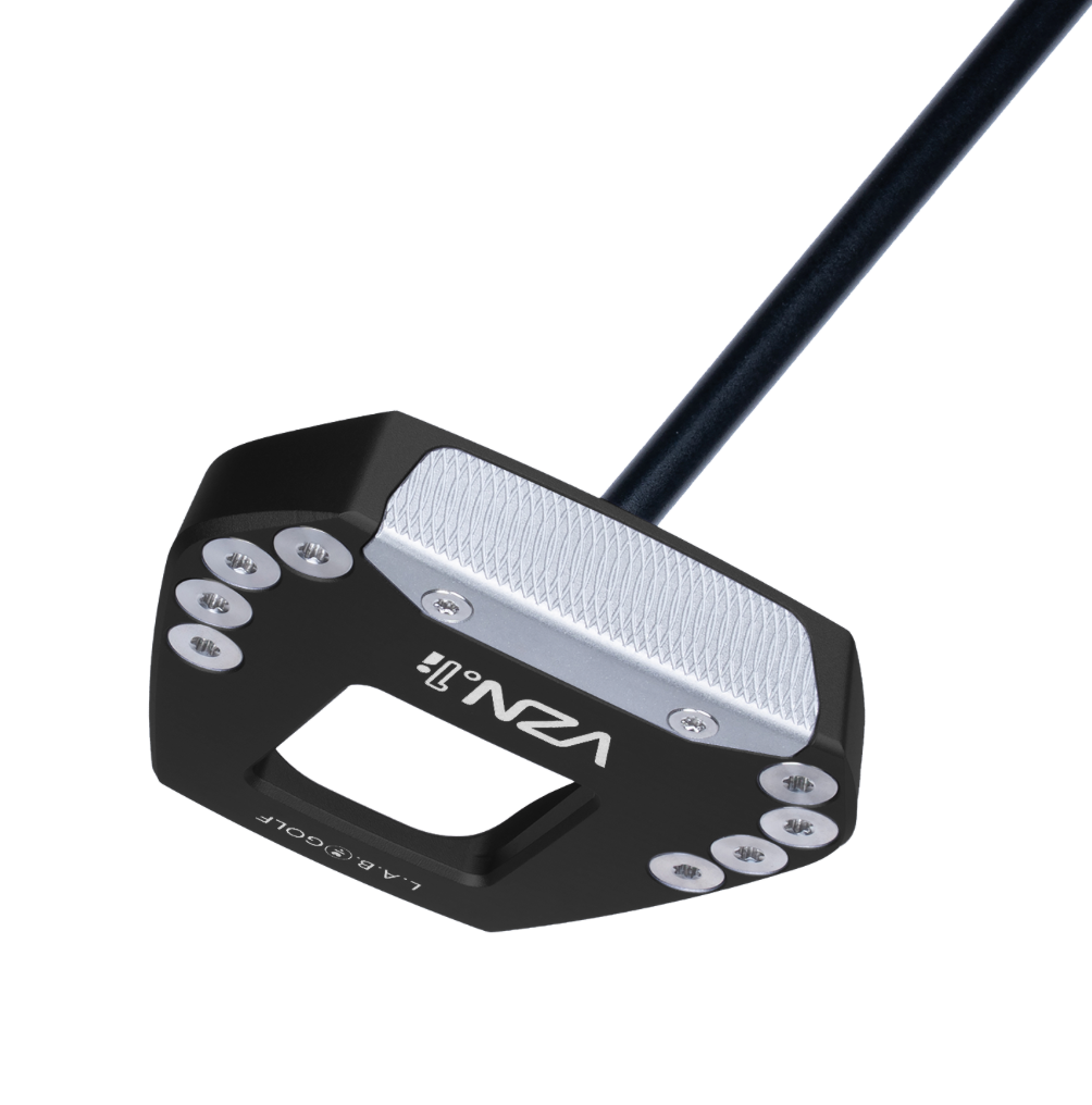VZN.1i