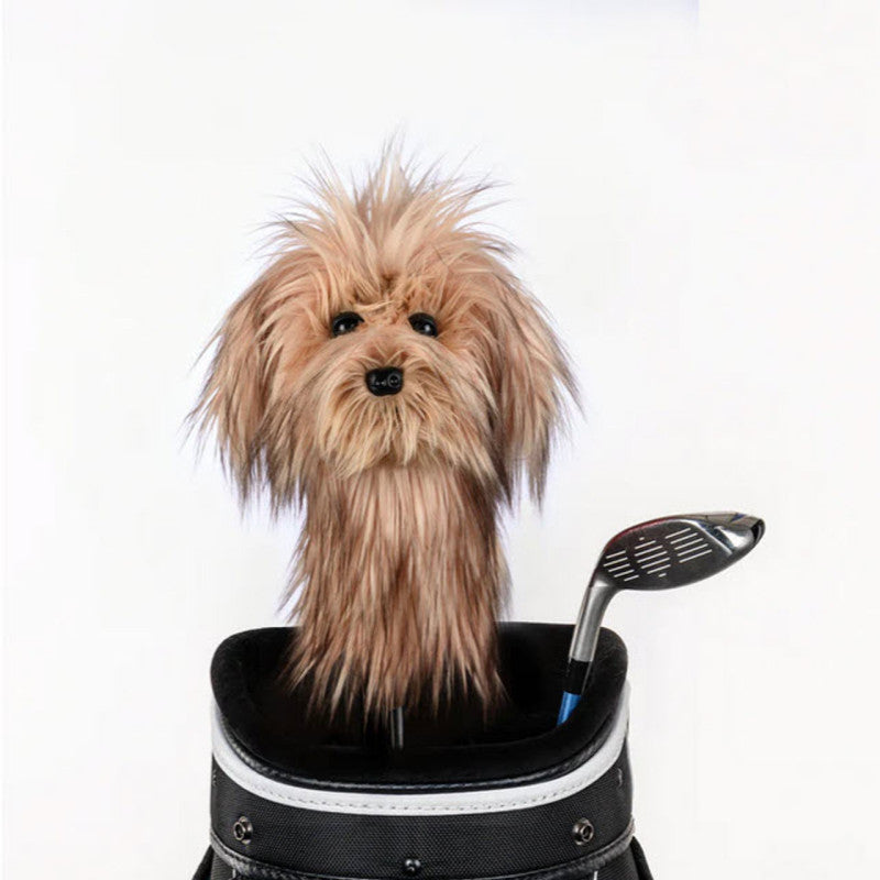 COVER SCRUFFY DOG