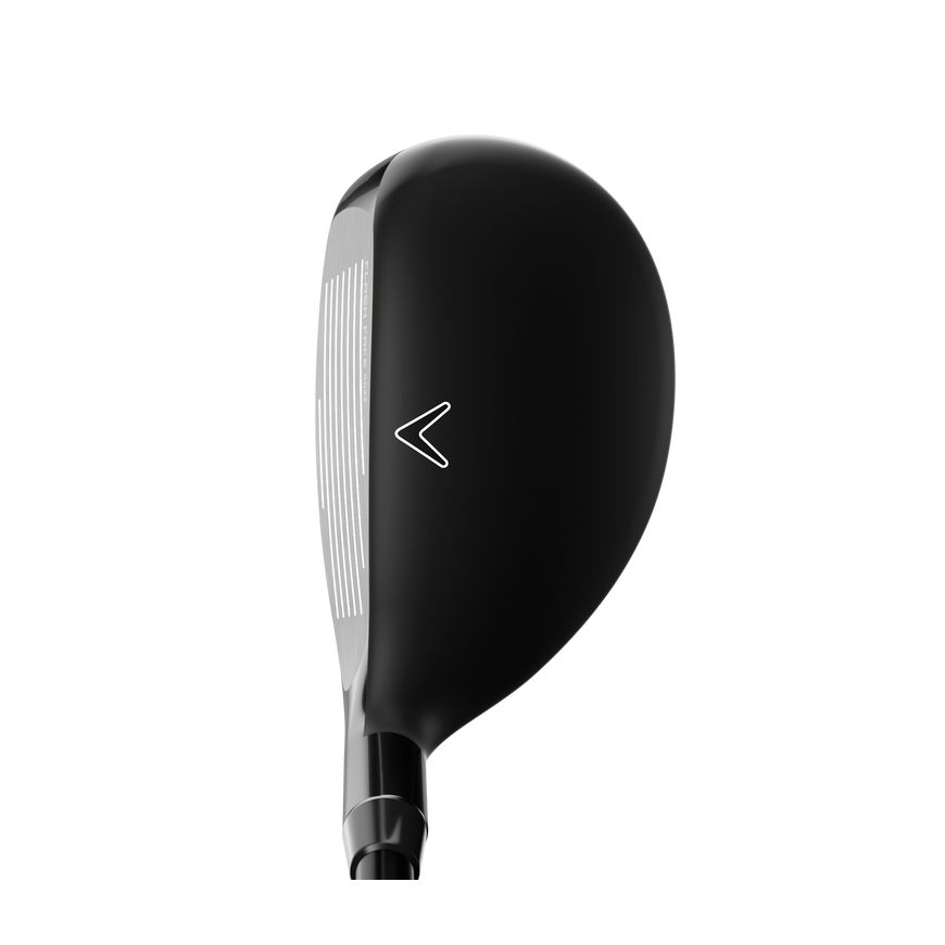 ROGUE ST MAX24