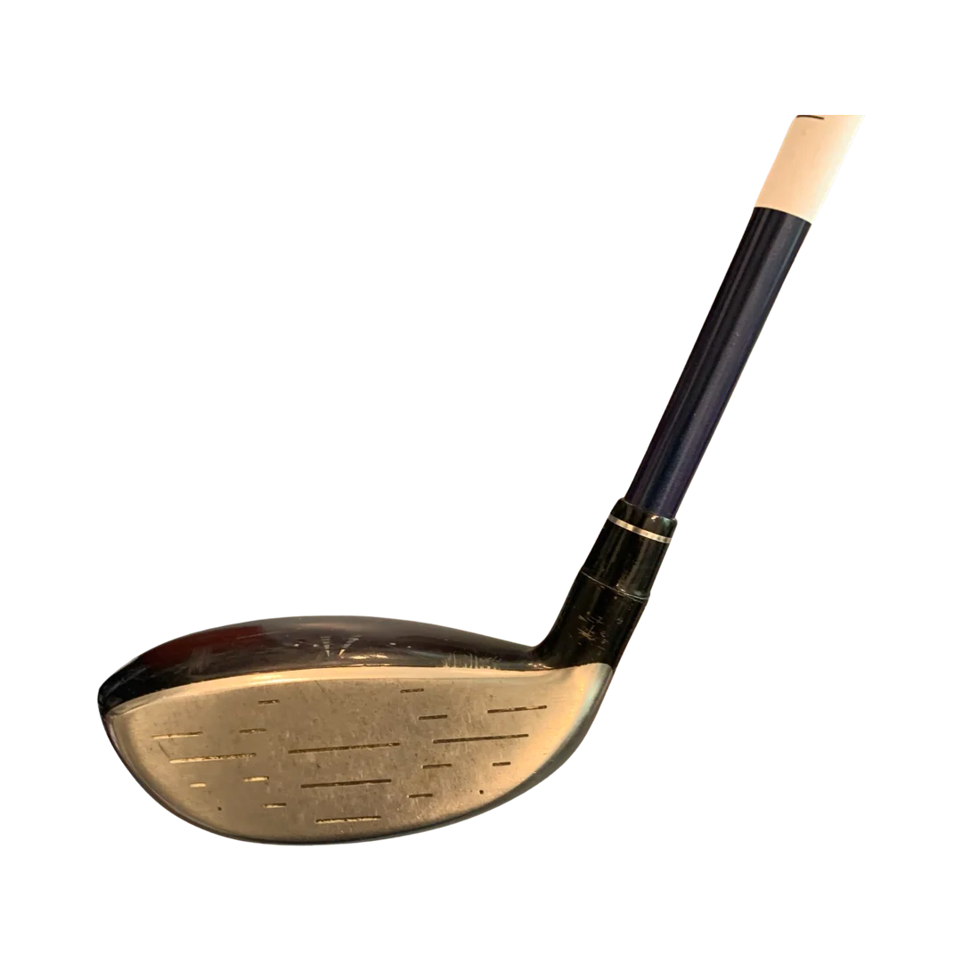 MP800