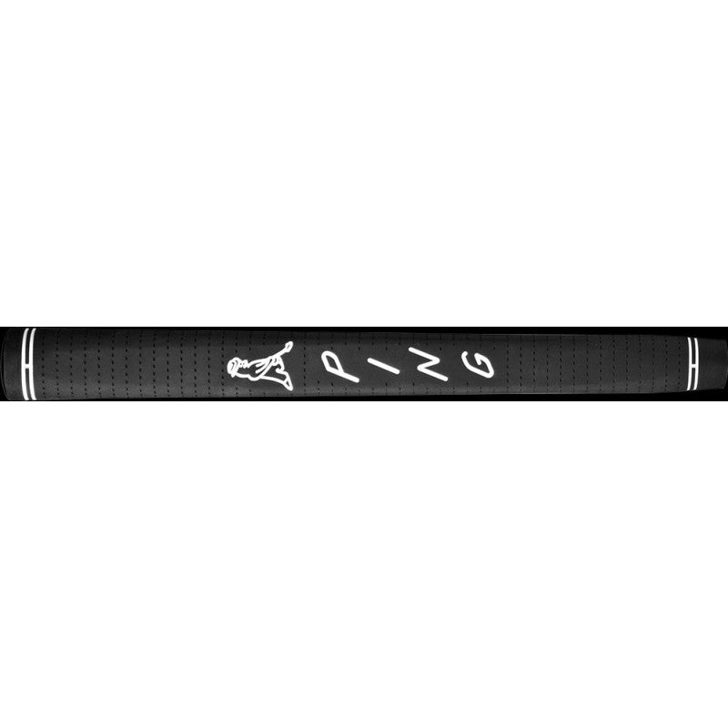 ANSER D 2024