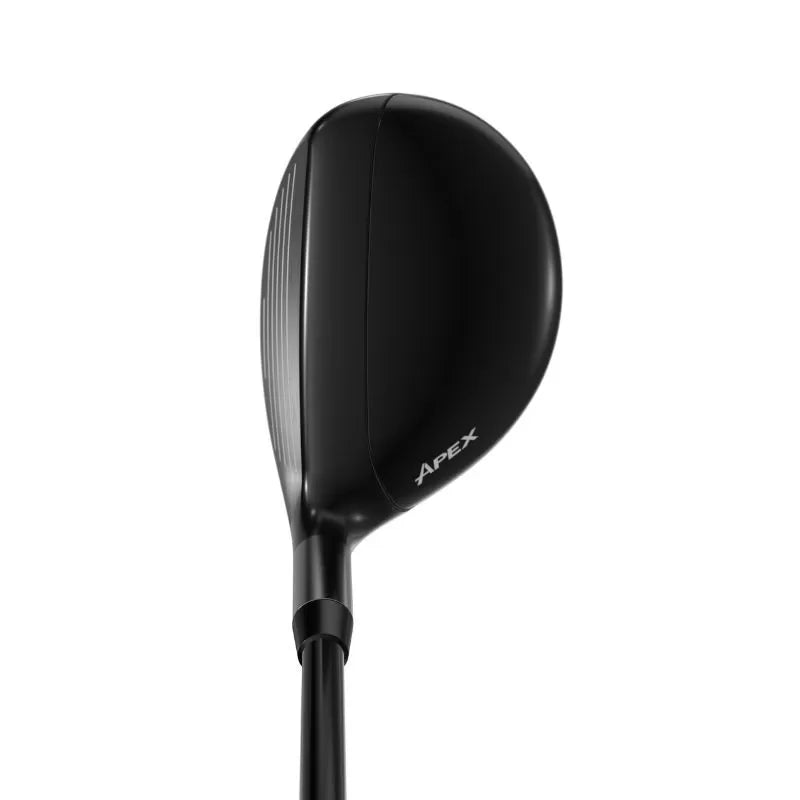 APEX UW