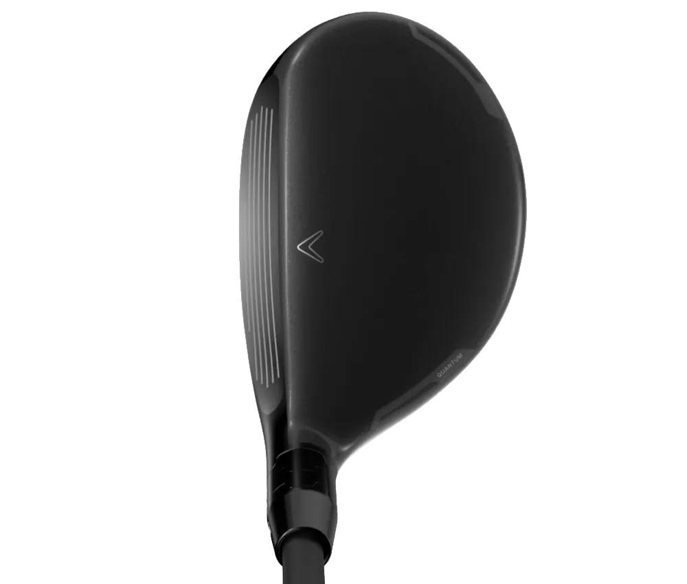 Quantum MAX FAST