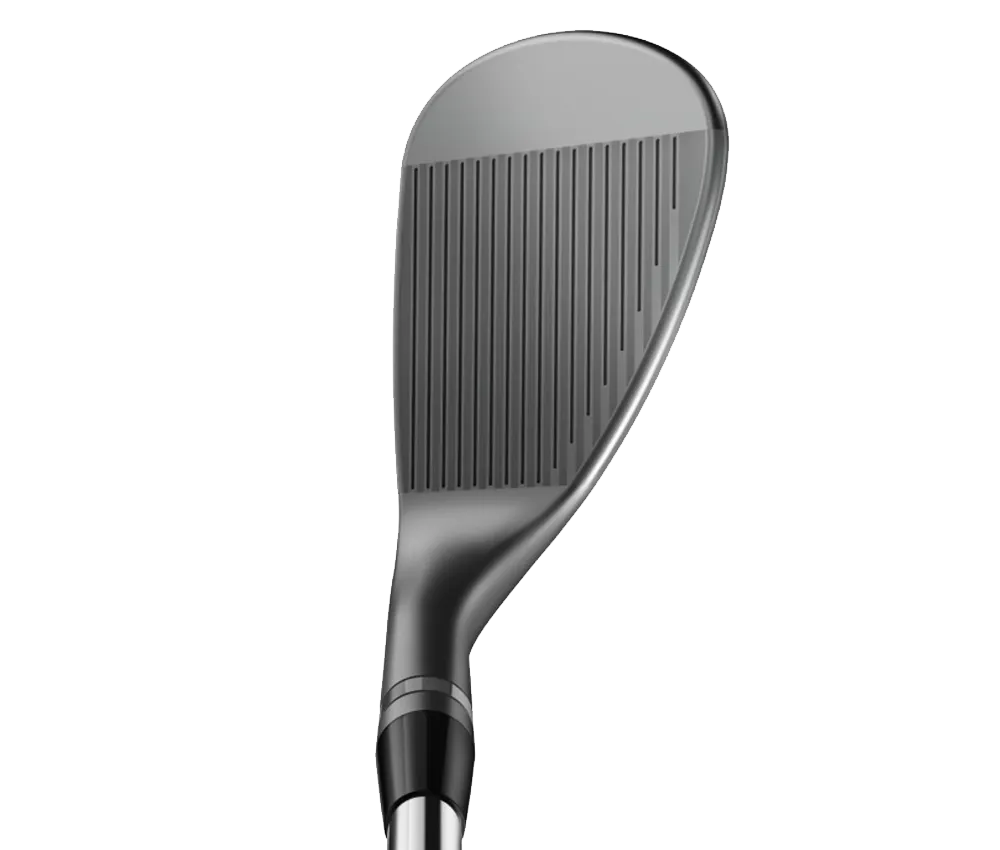 SM11 Nickel