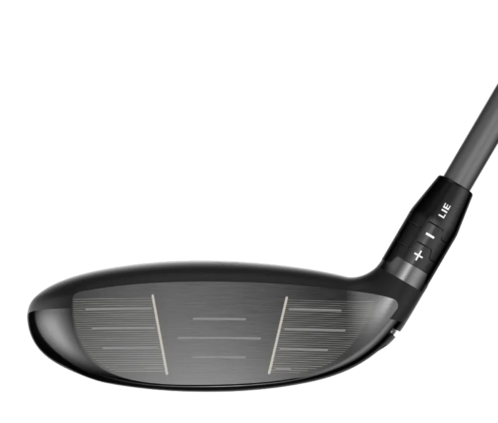Quantum MAX D