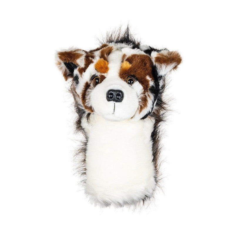 CAPUCHON CHIENAUSTRALIEN