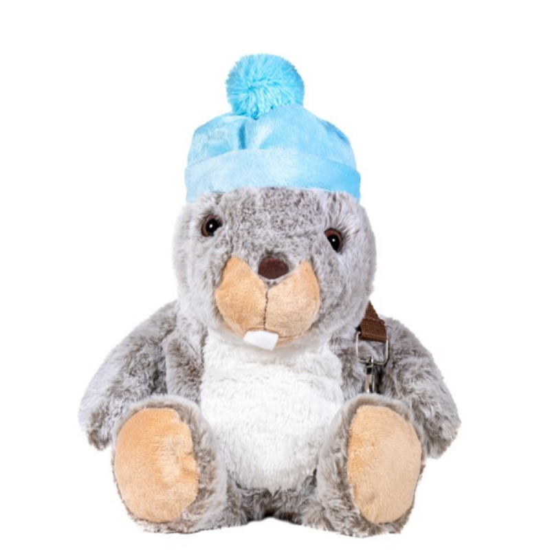 COVER MARMOTTE NORME