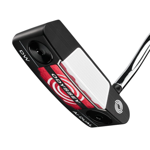 AI DUAL DW